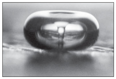 Archive image from page 20 of Ultrasonic Firearm Cleaning, Part One