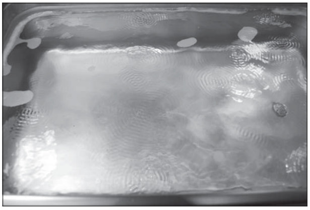 Archive image from page 20 of Ultrasonic Firearm Cleaning, Part One