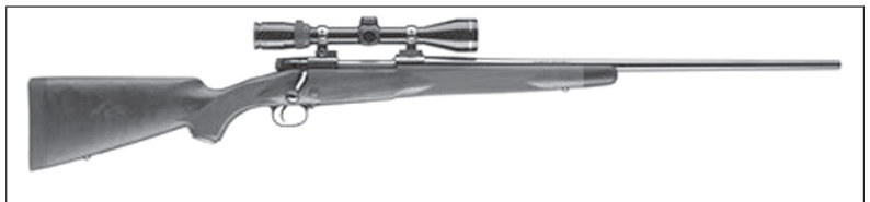 Archive image from page 19 of Generational Changes and Firearms
