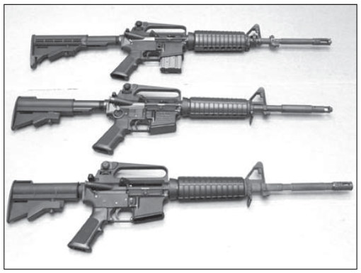 Archive image from page 21 of Generational Changes and Firearms