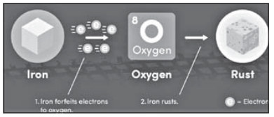 Archive image from page 12 of Corrosion Basics for Gunsmiths