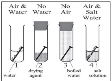 Archive image from page 12 of Corrosion Basics for Gunsmiths
